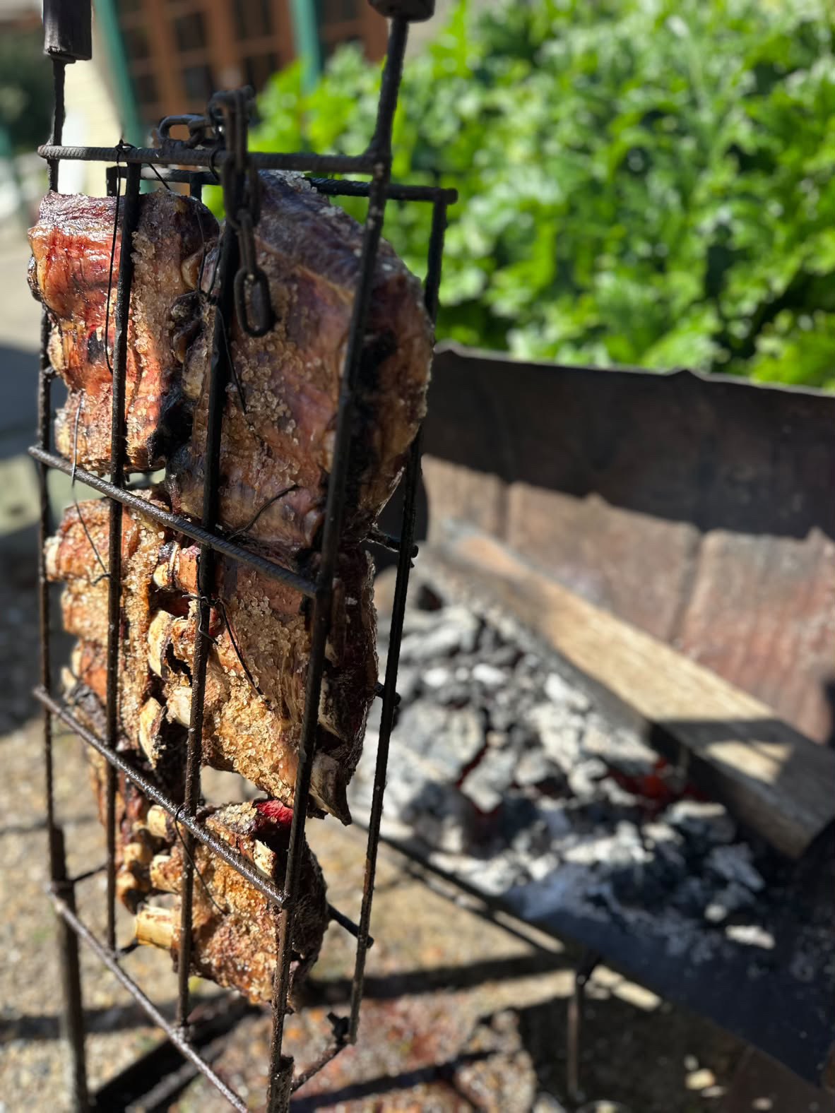 Bagual ribs roasting beside charcoal